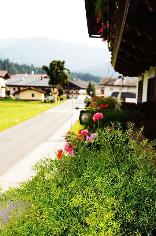 Maison d'hôtes Hohe Salve 3*